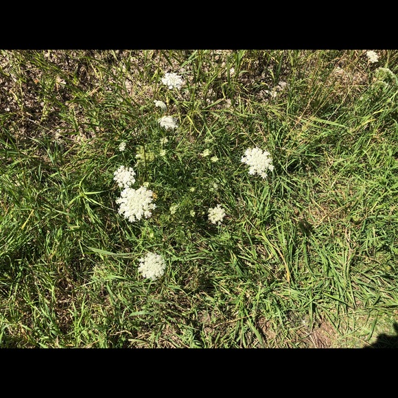 Meet your Posher, Ruth - Picture 1 of 1